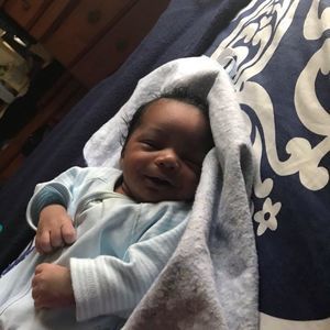 Meet your Posher, King agustus arealius